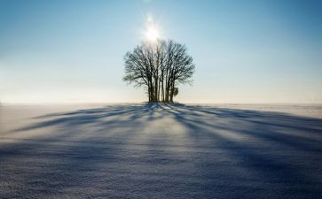 描写冬雪的小作文5篇
