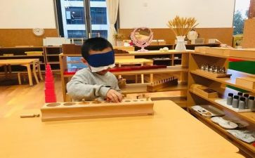 蒙氏班级学期总结通用6篇
