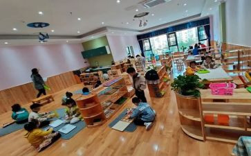 幼儿园小班蒙氏教学总结推荐6篇