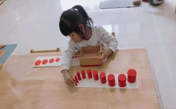 蒙氏教学总结模板6篇