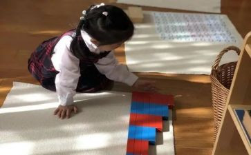 幼儿园蒙氏工作总结优质5篇