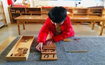 幼儿园蒙氏工作总结6篇