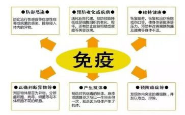 计划免疫工作计划5篇