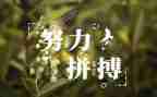4分钟的名人演讲稿5篇