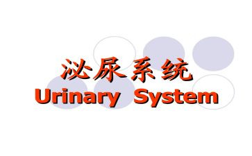 泌尿外科述职报告8篇