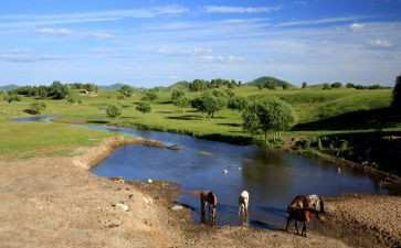 牧场教学反思7篇