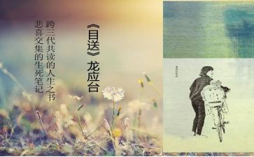 《目送》读后感最新6篇