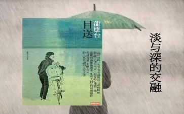 读龙应台《目送》读后感7篇