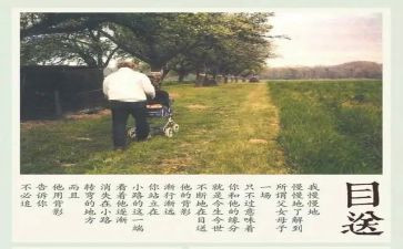 《目送》读后感通用7篇