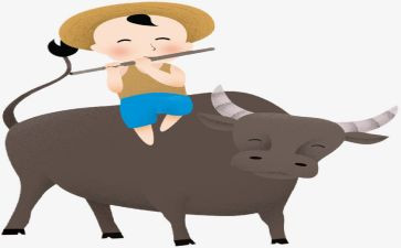 牧童作文300字7篇