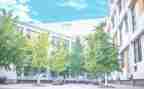 小学感恩母校演讲稿范文6篇