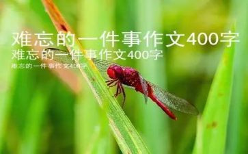 暑假里难忘的一件事作文参考6篇