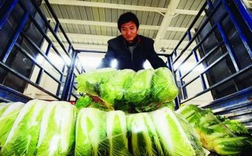 县农产品调研报告5篇