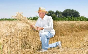 农夫与鹰的读后感优质7篇