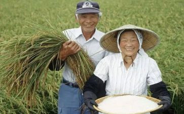 职业农民培训心得7篇