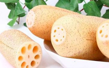 认识藕教案模板8篇