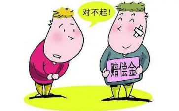 国赔偿申请书5篇
