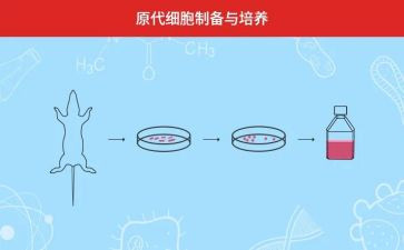 教师双培养工作计划精选6篇