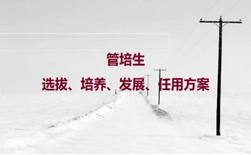 教师双培养工作计划6篇