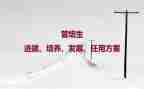 教师双培养工作计划6篇
