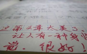 带评语的作文最新8篇