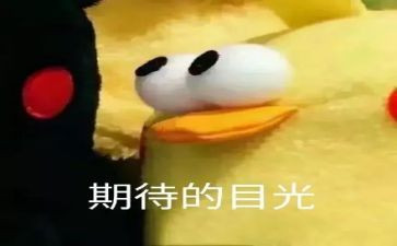 我期待的暑假作文5篇