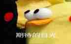 我期待的暑假作文5篇