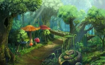 牧羊少年奇幻之旅读后感5篇