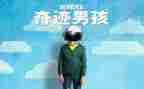 《奇迹》读后感推荐8篇