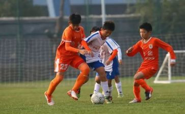 青训调研报告模板模板8篇