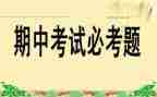 期中考试作文300字5篇