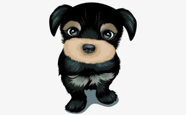 犬只管理调研报告5篇