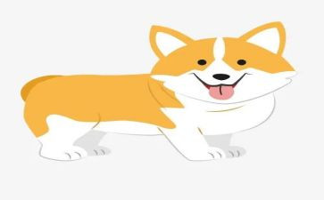 村社区犬只管理工作总结8篇
