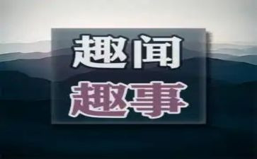 暑假写趣事的作文通用7篇