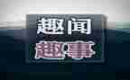 暑假写趣事的作文通用7篇