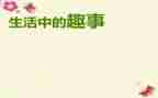 暑假趣事作文四年级作文5篇