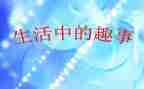 中秋趣事作文600字5篇