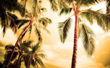炎热的夏天作文优质6篇