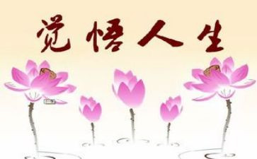 琴与人生作文5篇