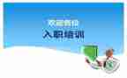 入职公司的心得体会模板6篇