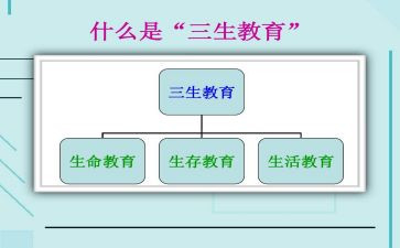 高三生物教师个人工作总结5篇
