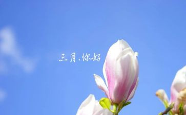 三月安全工作总结6篇