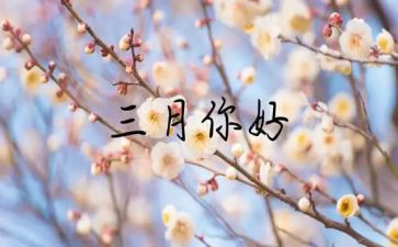 驾三月份工作总结推荐5篇