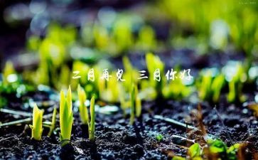 幼儿园大班三月的工作总结8篇