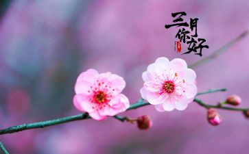 驾三月份工作总结参考6篇
