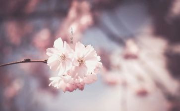 小班三月安全工作总结6篇
