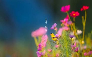三月份讲话稿7篇