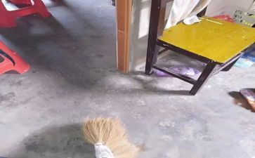 黑扫除恶心得体会7篇