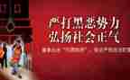 镇扫黑除恶工作总结5篇