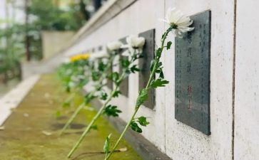 以根为话题的扫墓作文5篇